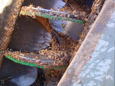 Screw Screen Mechanical Treatment