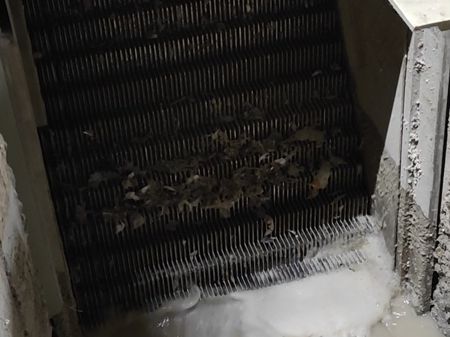 Step Screen mechanical treatment